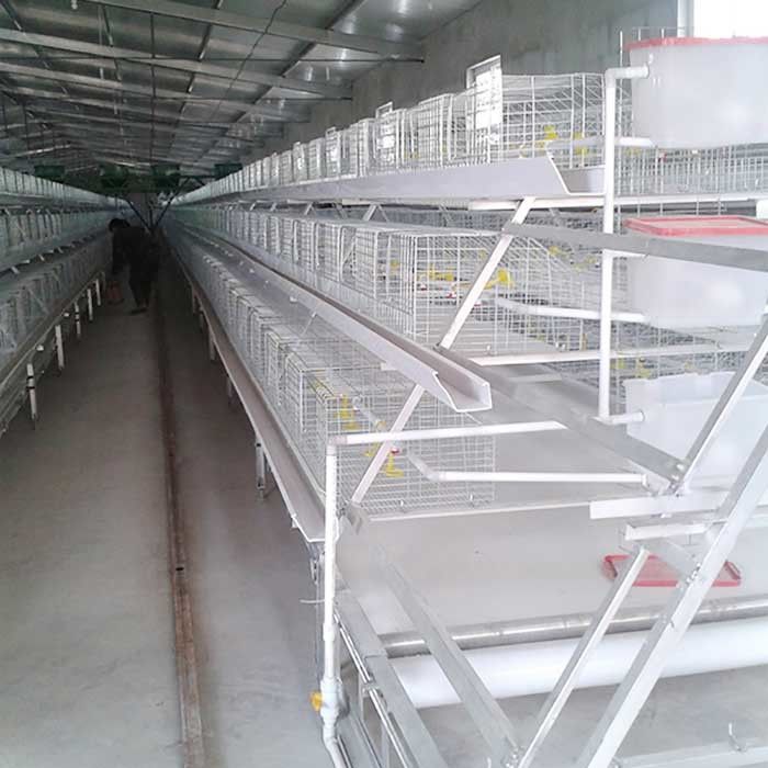 0.75kw Metal Chicken Cage , Automated Control Battery Operated Cages For Poultry