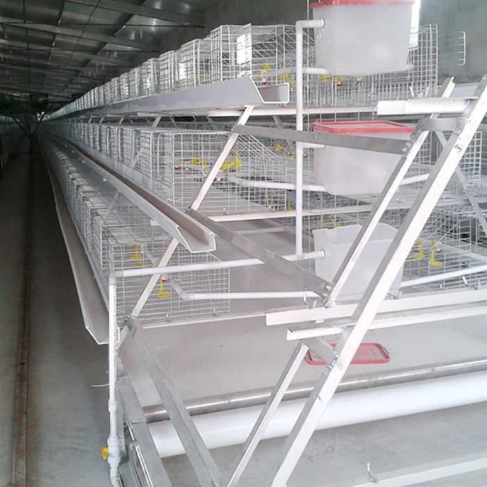 Hot Dipped Galvanized Broiler Chicken Cage H Type 4 Tier 2 Doors for farm