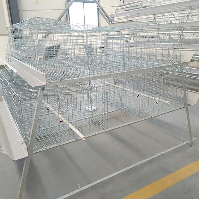Fireproof Steel Cage For Chicken , Indoor Broiler Farm Cage Poultry House