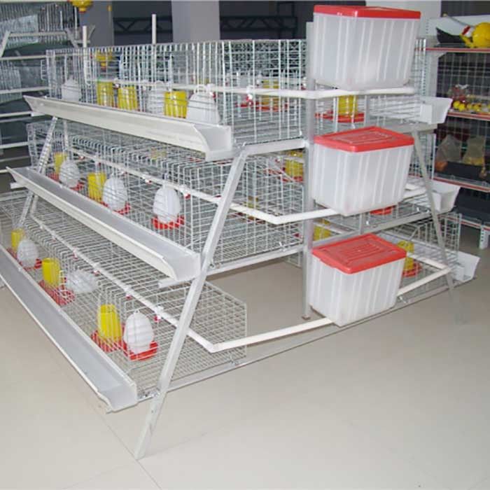 A Type 198 Birds Layer Chicken Cage Poultry Farming Equipment