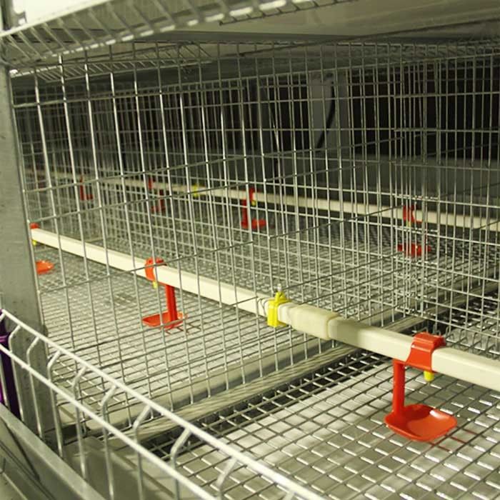 Hot Galvanized Wire Baby Chick Cage 264 Birds Capacity Silver White Color
