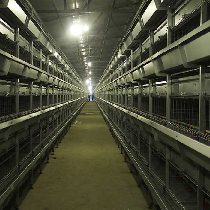 195 * 50 * 35cm Brooder Cage For Chicks , 24 Doors Chicken Isolation Cage