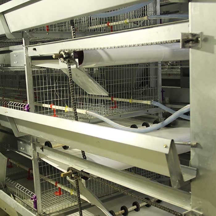 Smooth Mesh 4 Tier Layer Cage , Baby Chicken Cage With Valve Connector