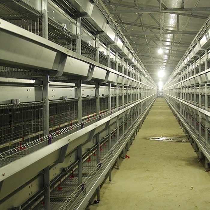 Smooth Mesh 4 Tier Layer Cage , Baby Chicken Cage With Valve Connector