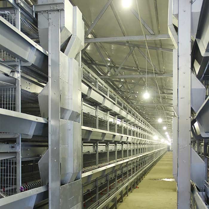 Smooth Mesh 4 Tier Layer Cage , Baby Chicken Cage With Valve Connector