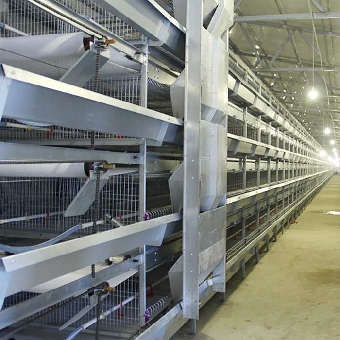 H Type 4 Tier Modern Poultry Cages , 120CM Easy To Install Building Chicken Cages