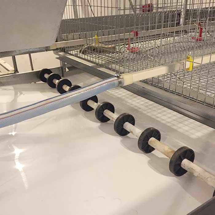 Galvanized Q235 Steel Baby Chick Cage A Type Structure With Auto Drinking System