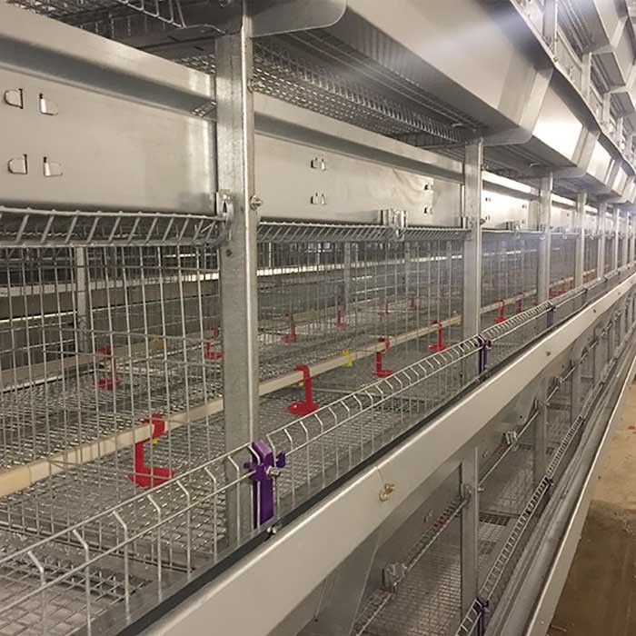 Smooth Mesh 4 Tier Layer Cage , Baby Chicken Cage With Valve Connector
