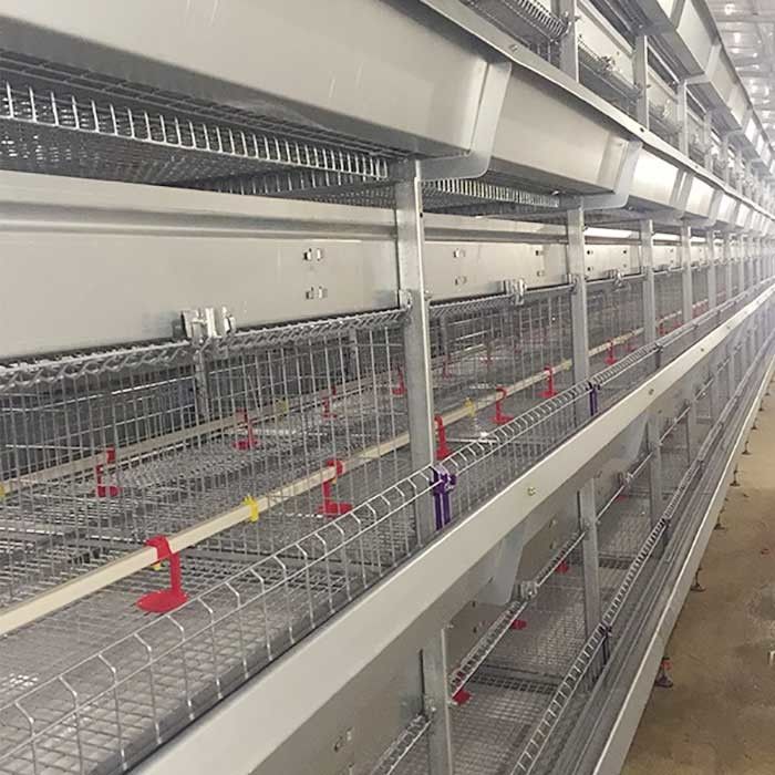 4 Tier 195CM Brooder Cage For Chicks A Type Galvanized Q235 Steel Material