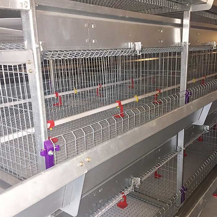 4 Tier 195CM Brooder Cage For Chicks A Type Galvanized Q235 Steel Material