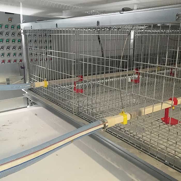 Waterproof 380V Brooding Cages For Chicks , U Shape Steel Small Poultry Cages