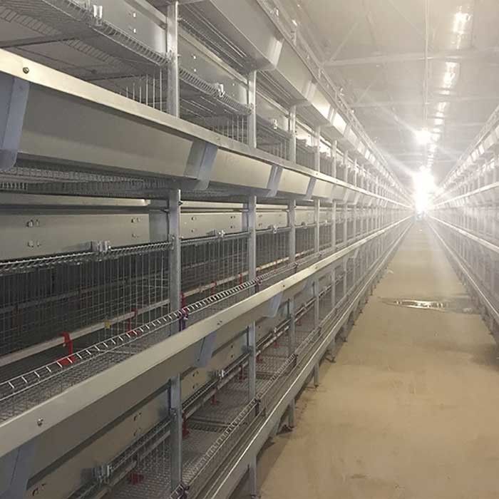 Manual Feeding System 45 Days Chicken Cage , 3 Tiers Chick Rearing Cage