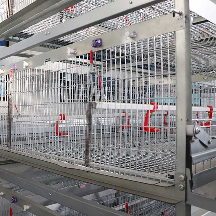 120 * 120 * 59cm H Type Battery Cages , Labor Saving Galvanized Chicken Cage