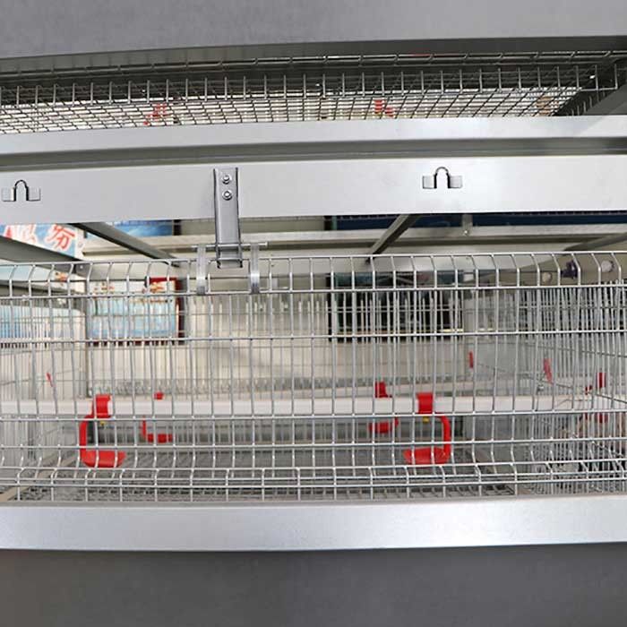 Manual Feeding System Poultry Chicken Cage For Baby Chick 20 Years Life Span