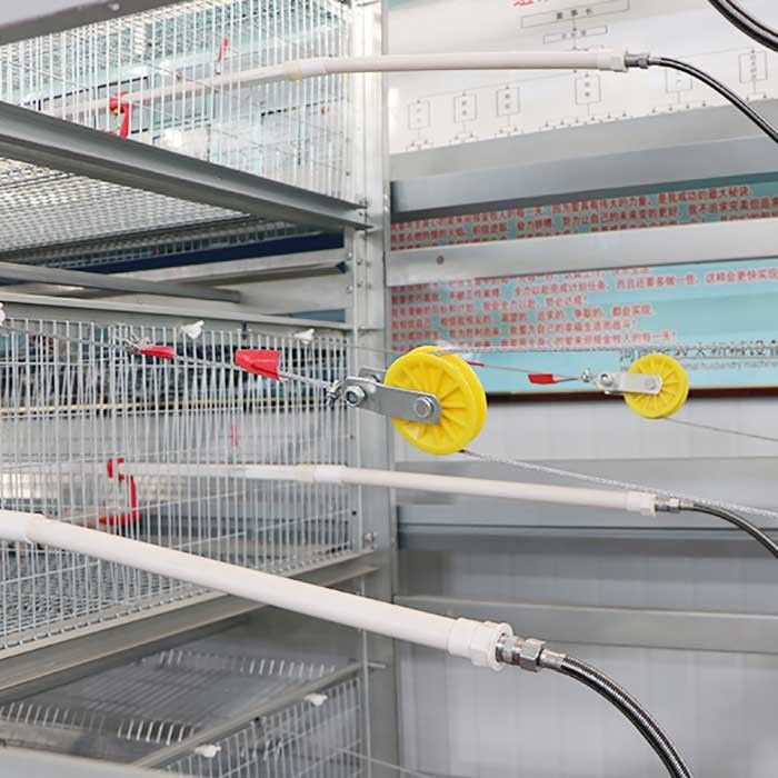 195 * 50 * 35CM Baby Chick Cage , Automatic Battery Cage System Low Disease