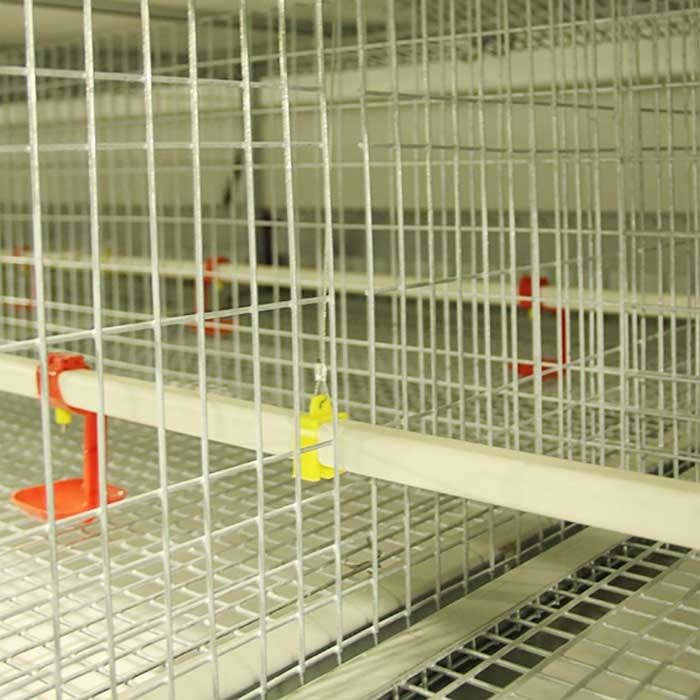 H Type Low Death Rate Baby Chick Cage 4 Tiers For Large Scale Farm 300CM² Area