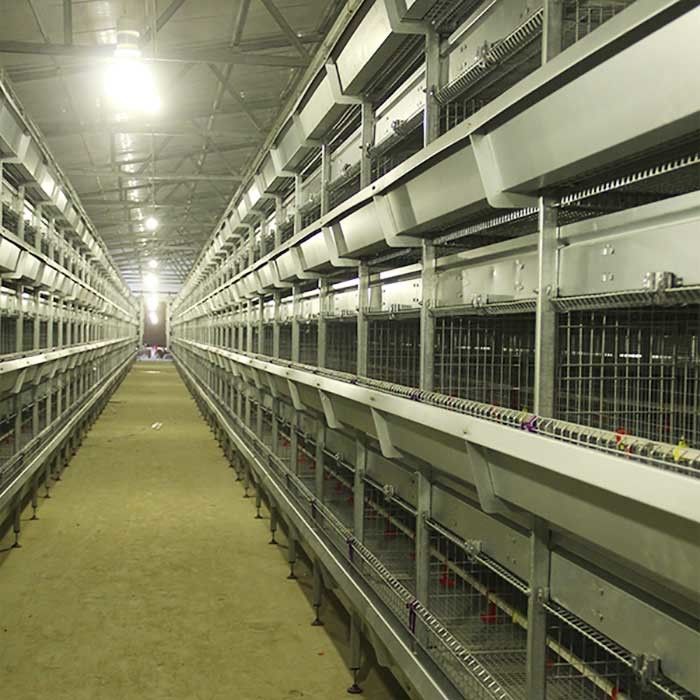 Poultry Farming Chicken Cage Wire , High Temp Resistant High Tech Chicken Cage