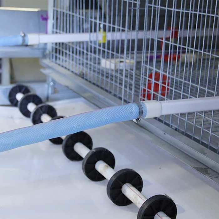 H Type Low Death Rate Baby Chick Cage 4 Tiers For Large Scale Farm 300CM² Area