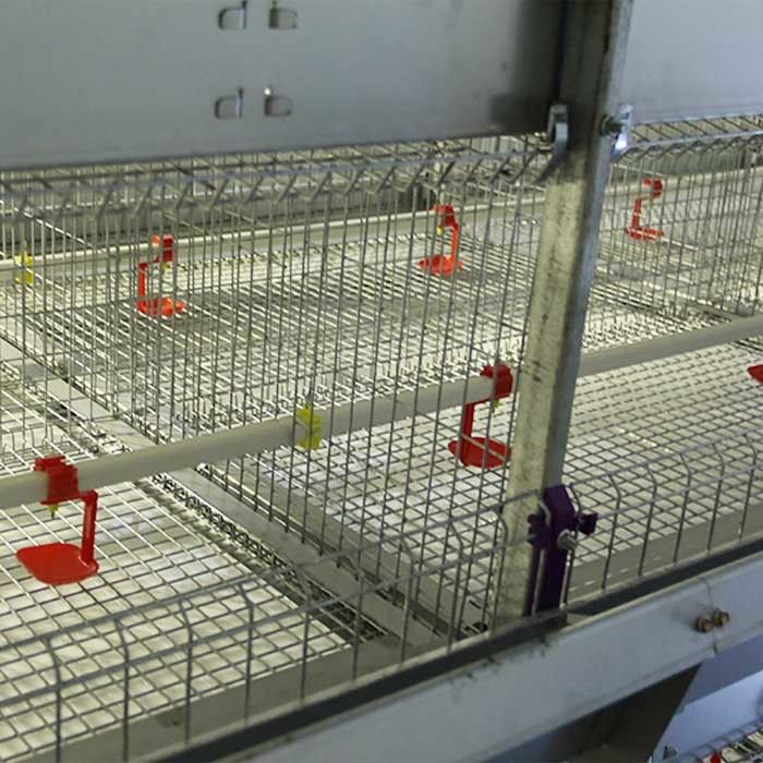 Fire Resistant Chicken Steel Cage , 198 Birds Chick Cage With Heat Lamp