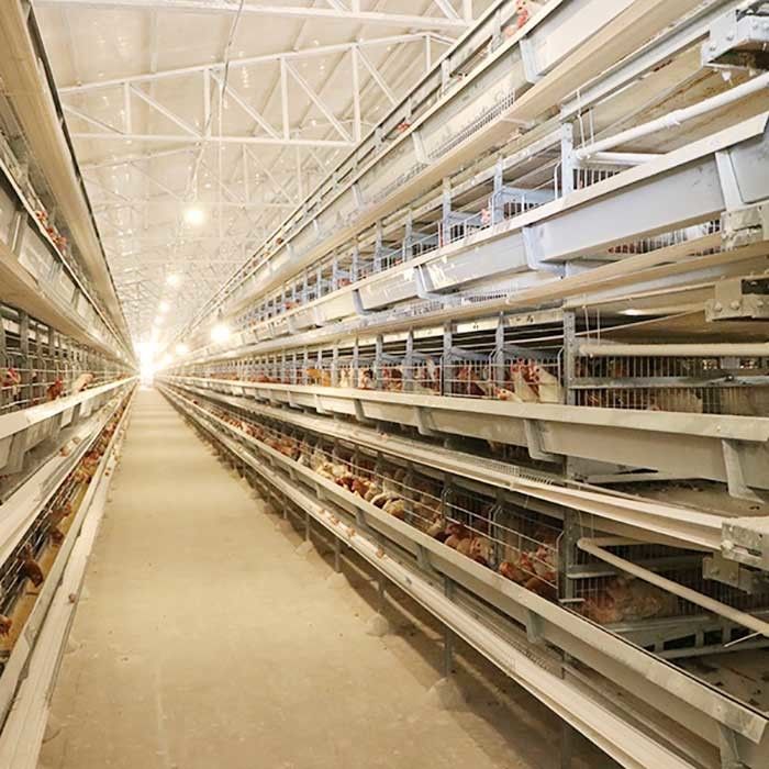 Automatic Laying Poultry Farm Equipments H Type 4Tiers 192 Birds Layer Battery Chicken Cage For Africa Markets