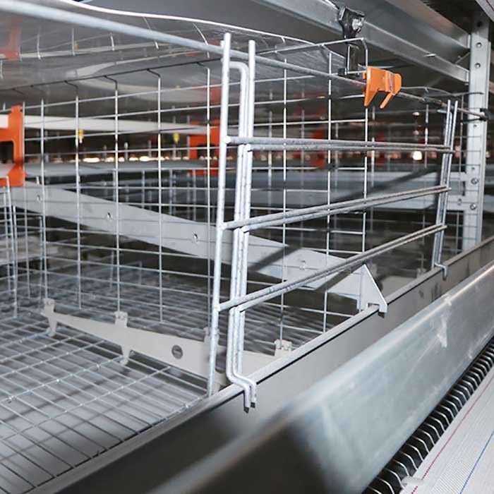 H Type / A Type Layer Chicken Cage System U Shape Steel Cage Frame Durable