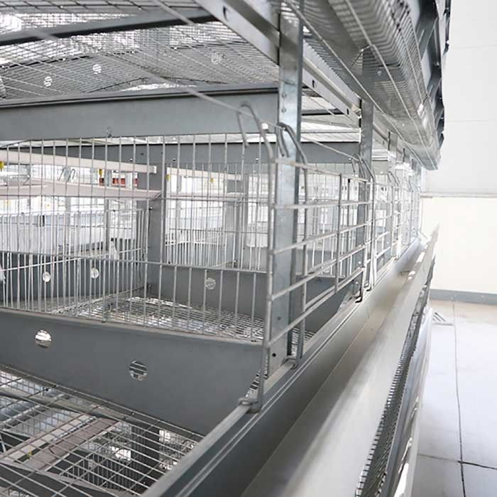 Chickens A Type Layer Cages , High Efficiency Poultry Processing Equipment