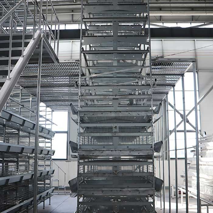 Chickens A Type Layer Cages , High Efficiency Poultry Processing Equipment
