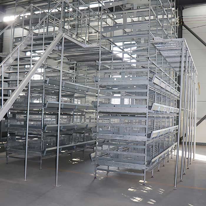 4 / 5 / 6 / 8 Tiers H Type Layer Layer Chicken Cage 120 * 60 * 70 Cm Size