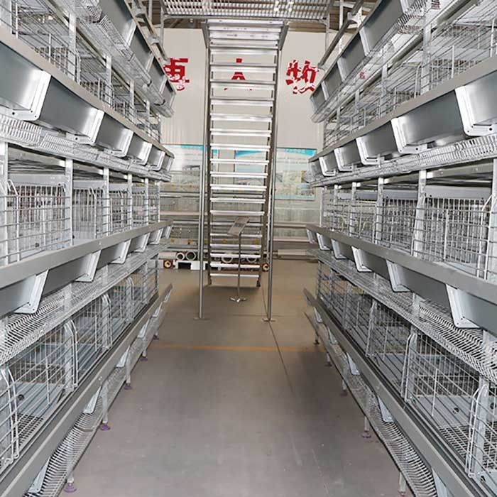 Less Disability H Type Layer Cage , Layer Poultry Farming Equipment For Chickens