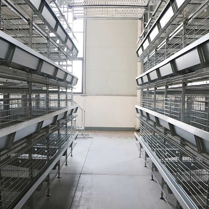 4 / 5 / 6 / 8 Tiers H Type Layer Layer Chicken Cage 120 * 60 * 70 Cm Size