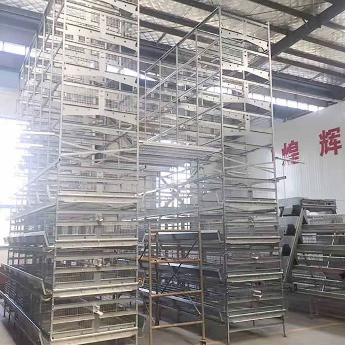 90 - 256 Birds Battery Cage System , Durable Enriched Cages For Laying Hens