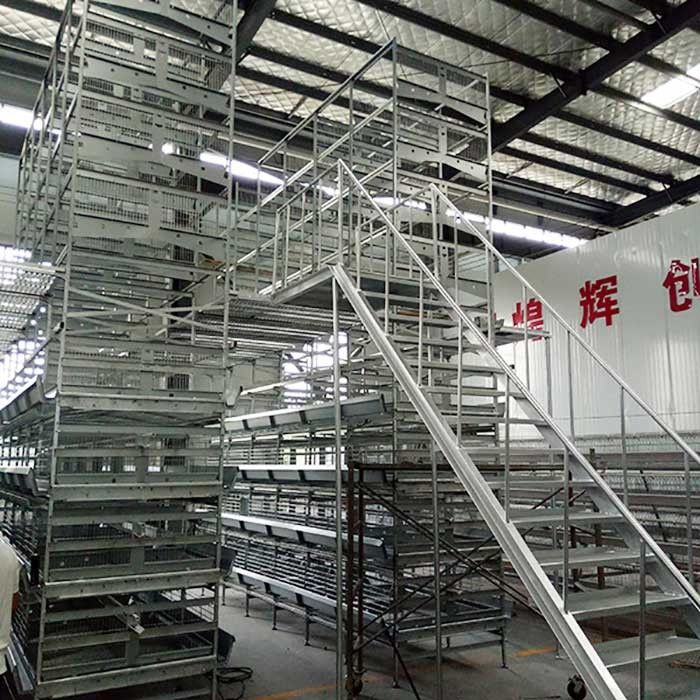 Less Disability H Type Layer Cage , Layer Poultry Farming Equipment For Chickens