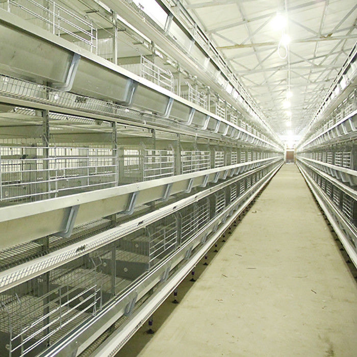 Automatic H Type Layer Chicken Cage System Stable Performance Powerful