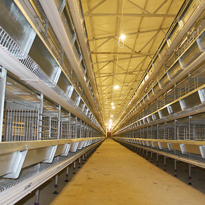 Powerful Poultry Farm Cage , H Type Layer Chicken Cage With Ventilating System