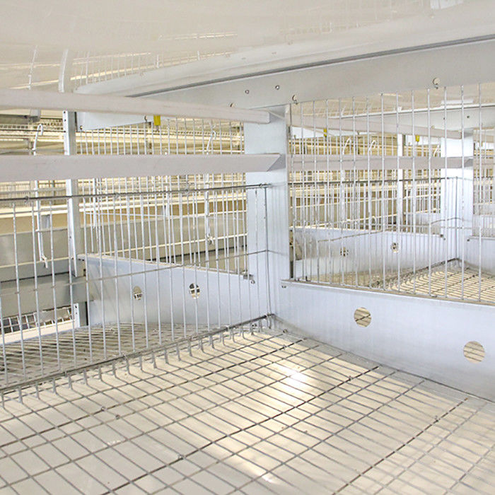 Hot Dipped Galvanized H Type Poultry Cage , Running Feeder Chicken Wire Cage
