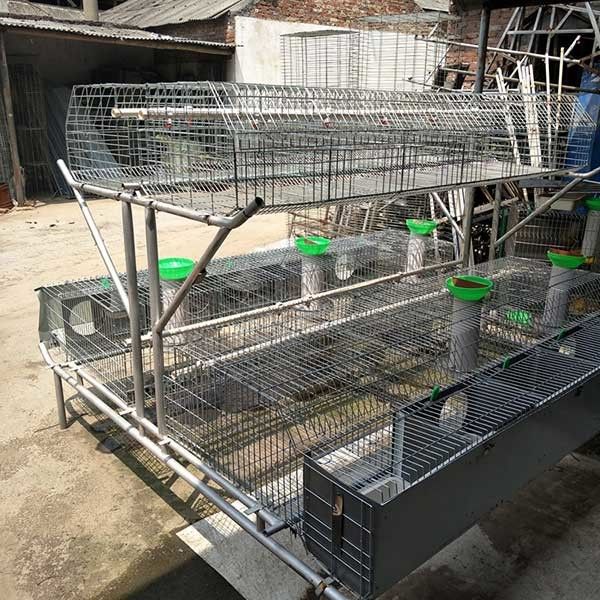 50 - 80 Babies Rabbit Breeding Cages , Two Tier Rabbit Hutch Environmental Friendly