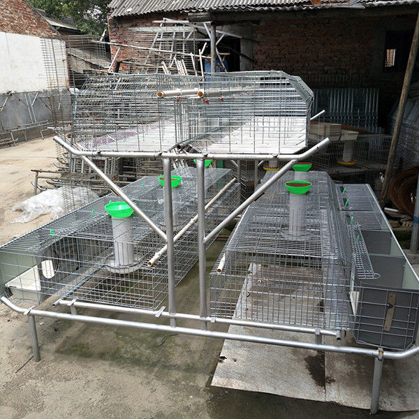 12 Mums Farm Rabbit Cage Hot Dipped Galvanized Steel Material Sliver / Green Color