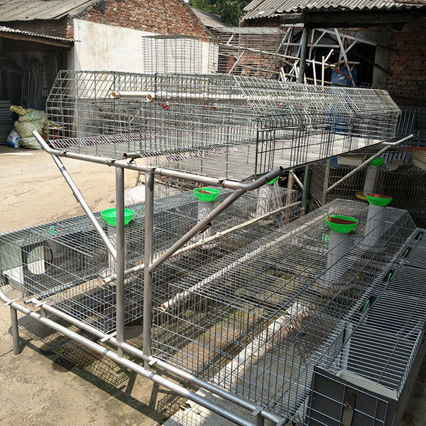 2 Layer Commercial Rabbit Farming Cages Automatic Drinking And Cleaning