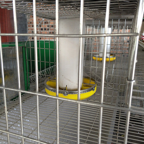 2 Layer Commercial Rabbit Farming Cages Automatic Drinking And Cleaning