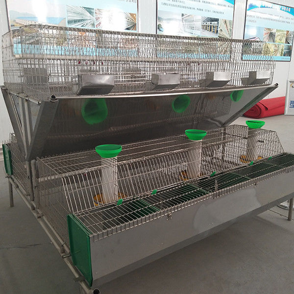 Large Scale Farm Rabbit Cage 2400 * 2000 * 1500mm Size For Female Rabbit