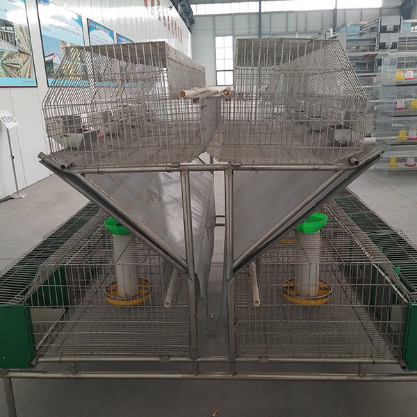 Steel Wire Mesh Farm Rabbit Cage Hot Dipped Galvanized Surface 12 Mums Capacity