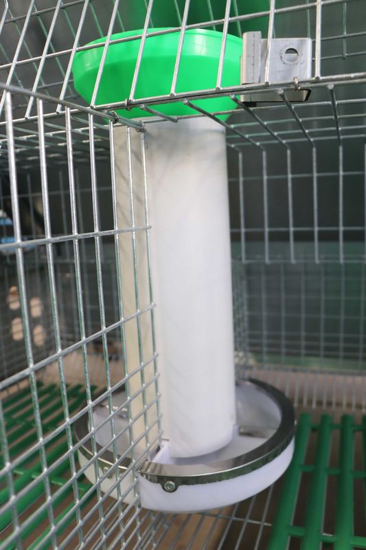 High Rearing Efficiency Rabbit Battery Cage , 50 - 80 Babies Metal Rabbit Hutch