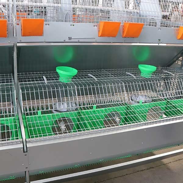 Durable Large Scale Farm Rabbit Cage Low Disease Rate For Female Rabbit
