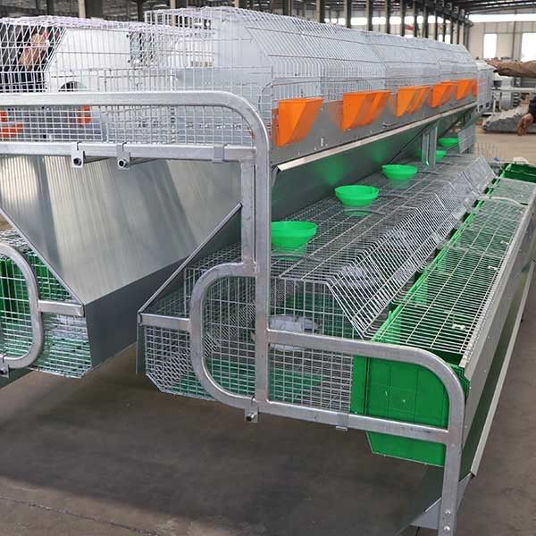 2400 * 2000 * 1500mm Farm Rabbit Cage For Rearing / Breeding Container Shipping