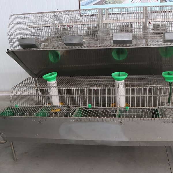 Automatic Galvanized Rabbit Cages , Female Rabbit 24 Cells Modern Rabbit Cage