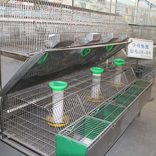 Large Auto Cleaning Farm Rabbit Cage Stable Performance Easy Maintenance