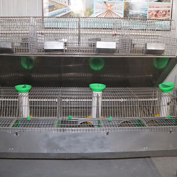 Breeder 240 * 200 * 150cm Rabbit Cage , Rigid Wire Rabbit Cage With Tray