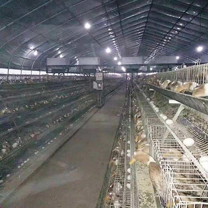 A Frame Chicken Layer Duck Breeding Farming Cage For Poultry Farm