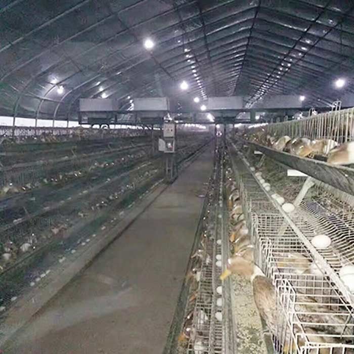 A Frame Chicken Layer Duck Breeding Farming Cage For Poultry Farm