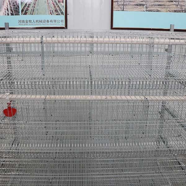 Reliable Steel Wire Cage Silver White Color , Large Capacity Wide Bird Cage